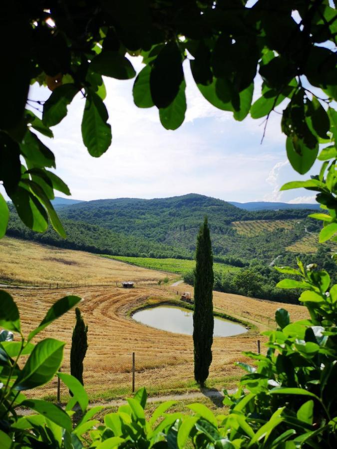 Agriturismo Selvella Allerona Dış mekan fotoğraf