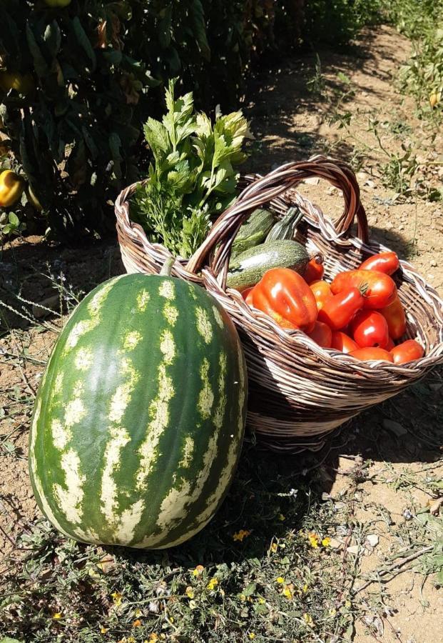Agriturismo Selvella Allerona Dış mekan fotoğraf